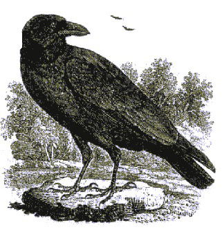 Женя Злыденный