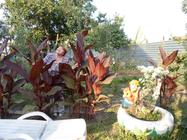 Наталья Ишутина