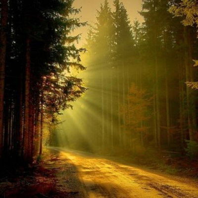 Альбина Бриллиантова