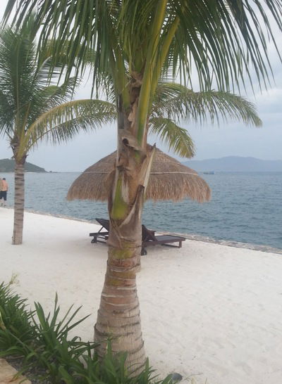 Ольга Уварова