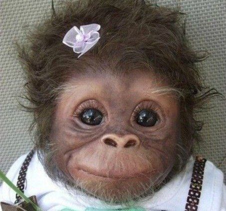 Сотников Вячеслав (Л)