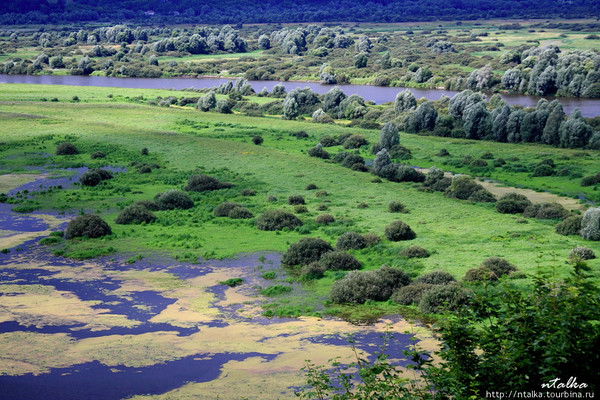 Александр Магдич