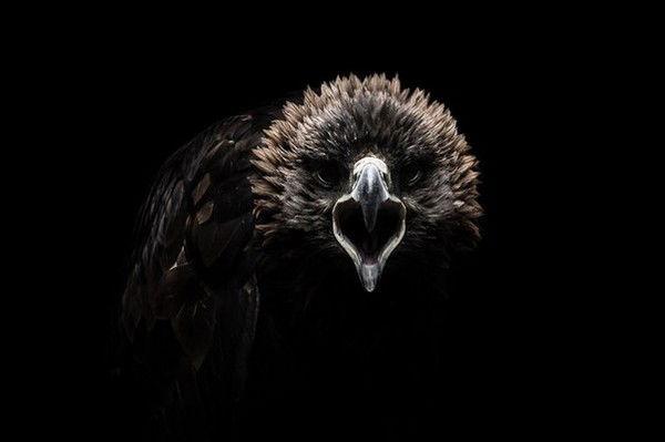 @лий Булатоff