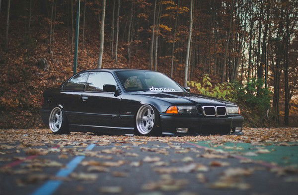 Антон Мальцев