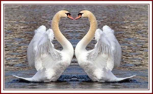 Ляйля Искакова