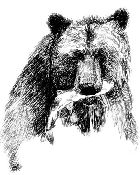 Рыбаки Мира