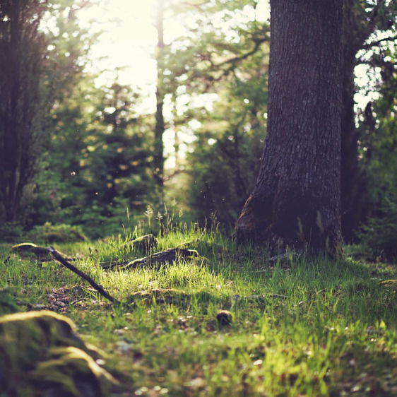 Илья Радинский