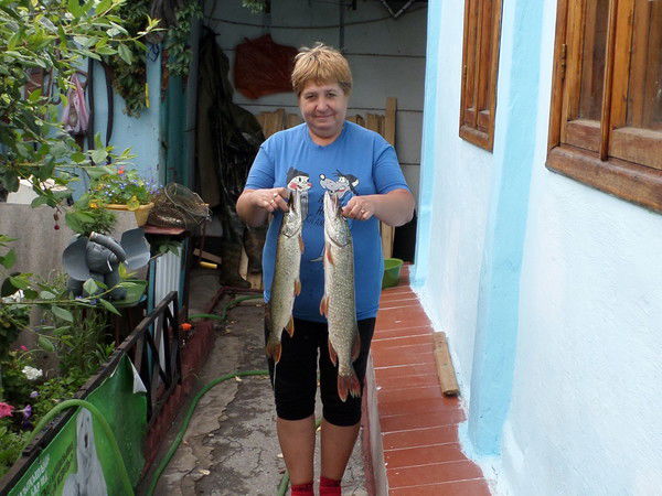 Наталья Васильковская