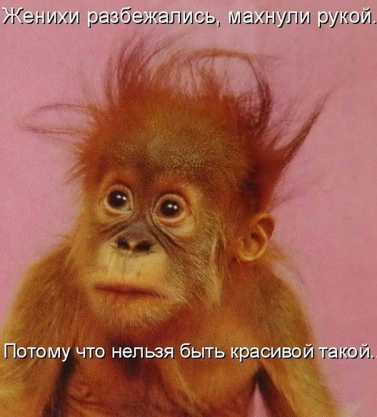 Ирина Коньшина