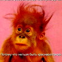 Ирина Коньшина