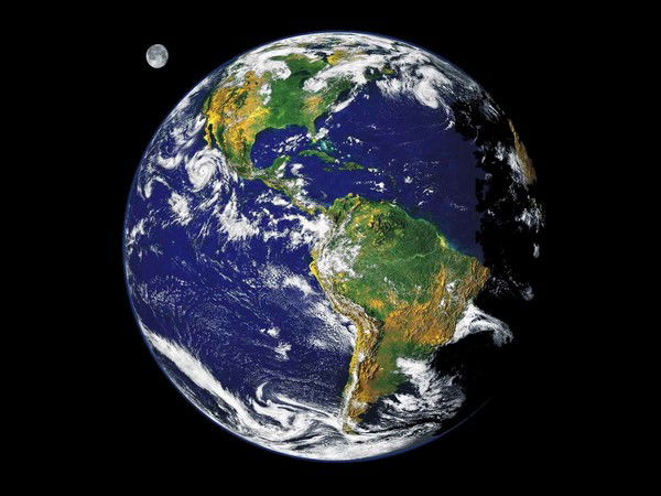 Виталий Шевченко