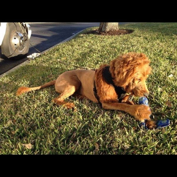 Руслан Гумерович