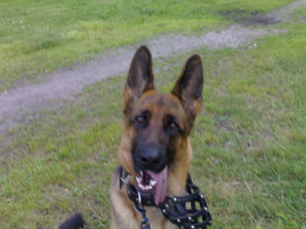 Вера Фомина