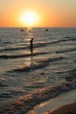 Неизвестно Неизвестно