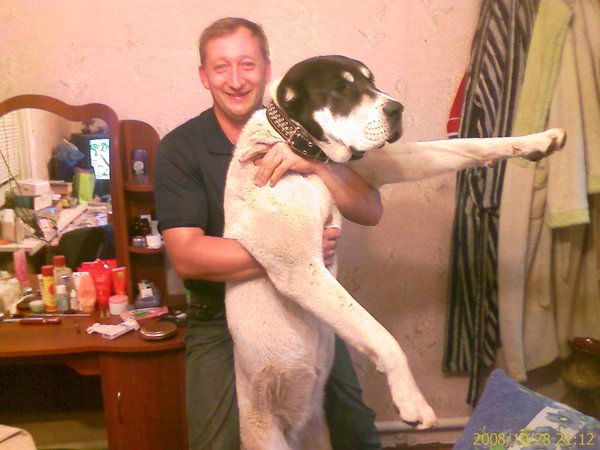 Шапошников Андрей