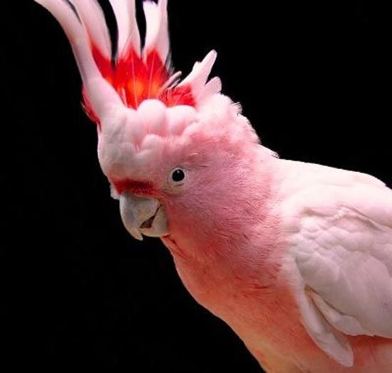 Актанко Людмила