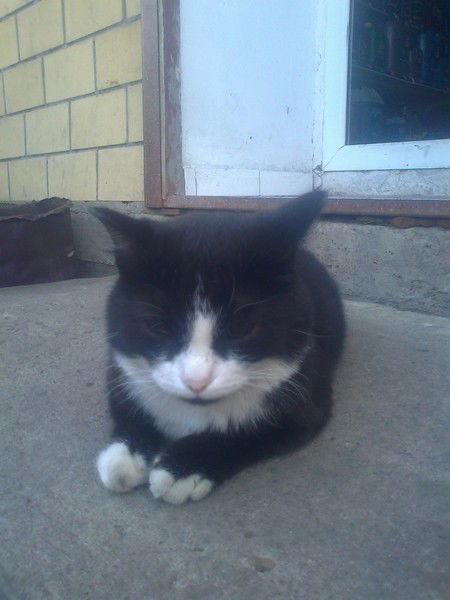 Альжан Сейдулла