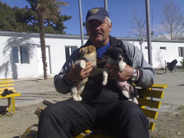 Валерий Захаров