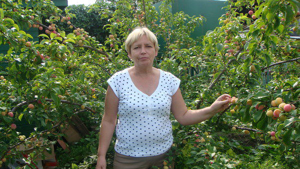 Светлана Широченко