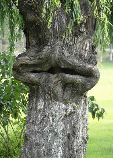 Евгений Мишенин