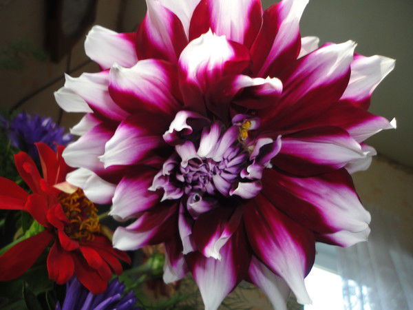 Василий Чельцов