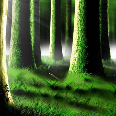 Роман Шипицин