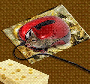 Игорь Максимчук