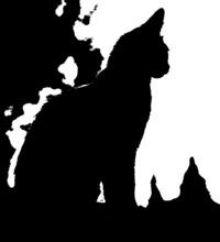 Александр Васильев