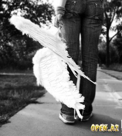 Илона Шапка