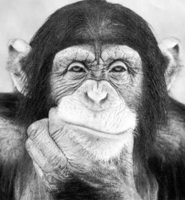 Борис Шегаль