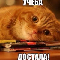 Елизавета Воронцова