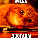 Елизавета Воронцова