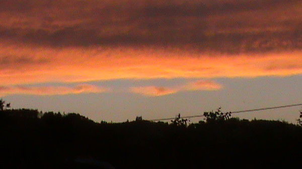 Николай Соловцов