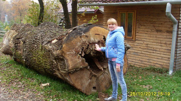 Алина Кречун