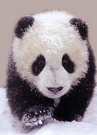 Анастасия Лунева