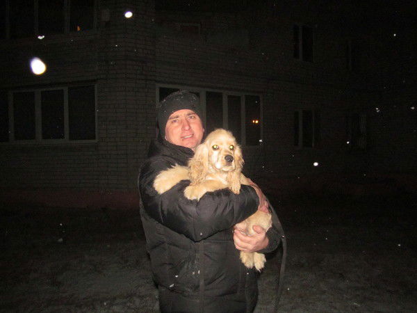 Дмитрий Бенгард