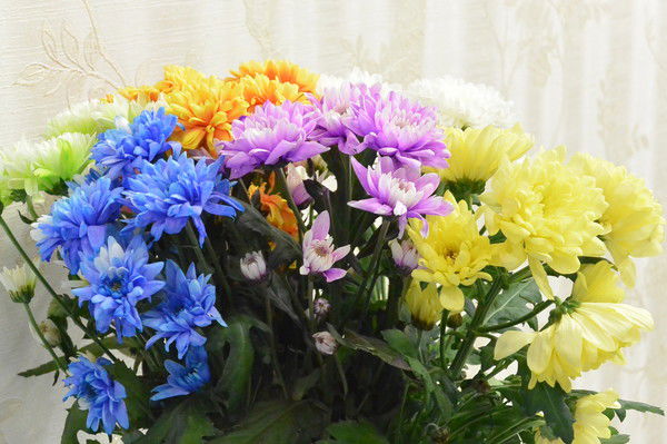 Боровикова Елена