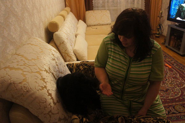 Елена Куликова