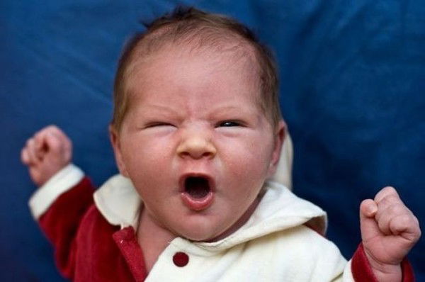 Михаил Соколов