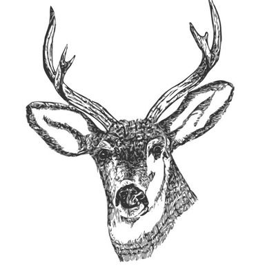 Макс Костов