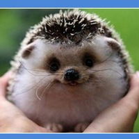 Машуля Полякова