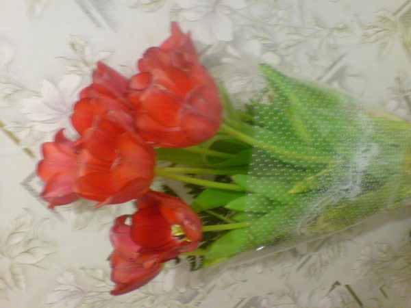 Юля Конькова(Трофимчук)