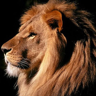 Кирилл Солнце