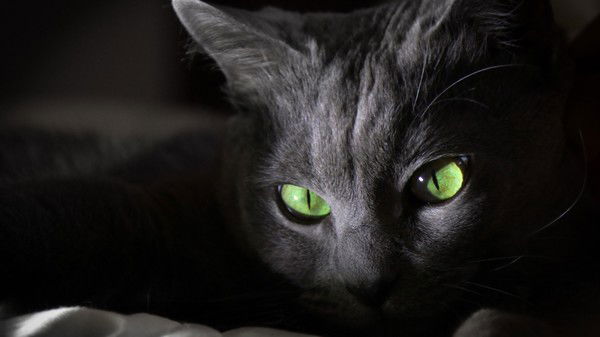 Татьяна Трунова