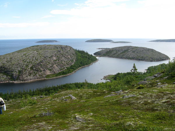 Максим Кривошапов