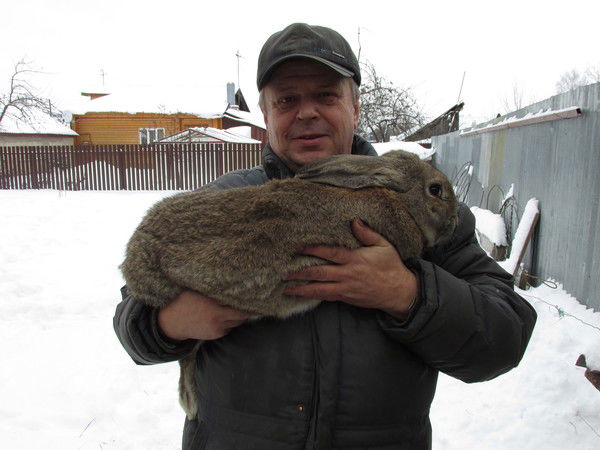 Виктор Коновалов