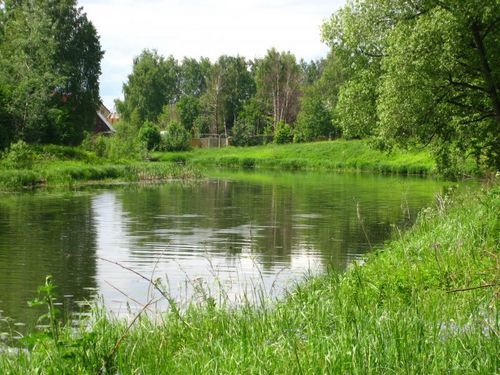 Дарья Щурова