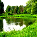 Дарья Щурова