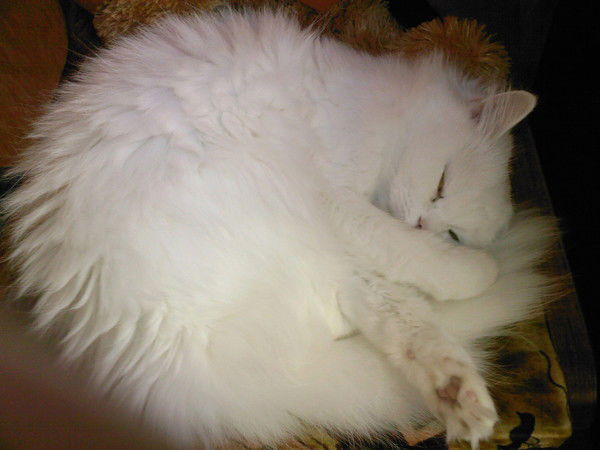 Наталия Емельянова