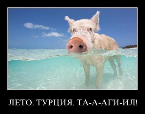 Александр Чернышов